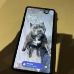 Samsung - Galaxy S25 Ultra 256GB (Unlocked) - Titanium Black photo review